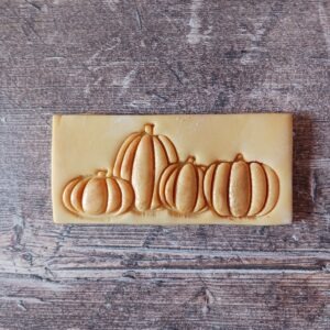 pumpkin patch stamp and cutter